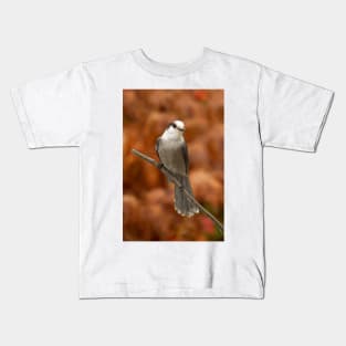 Gray Jay - Algonquin Park, Canada Kids T-Shirt